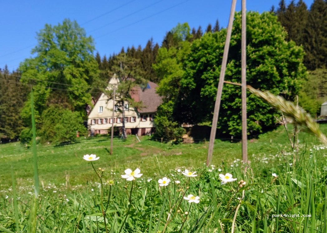 (72275) Alpirsbach - 1 Strohloch — foto