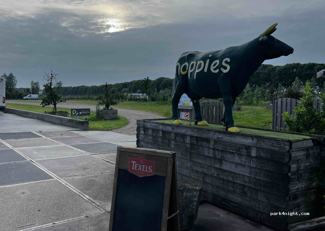 Hoppies — foto