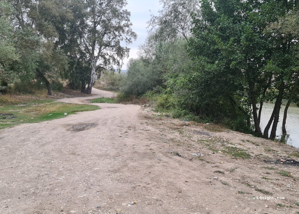 (60602) Günlüce - — foto 3