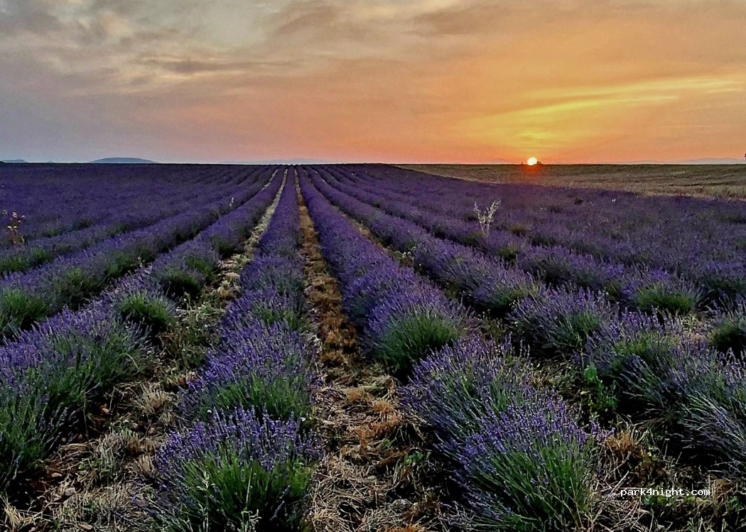 La Petite Campagne — foto 5