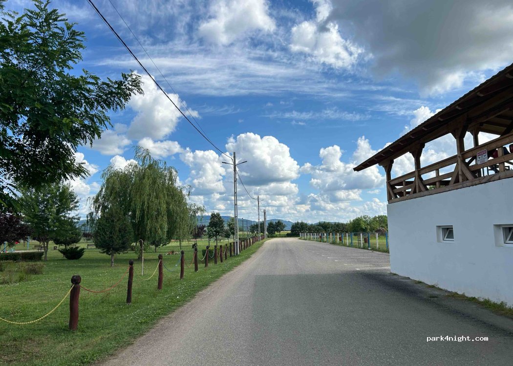 (437300) Sălsig - 3 Strada Parcului — foto 3