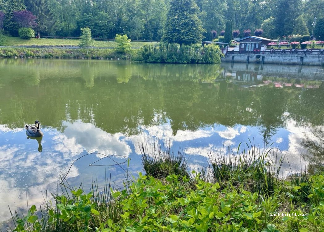 (52600) Violot - Parc de Charmeval — foto 4