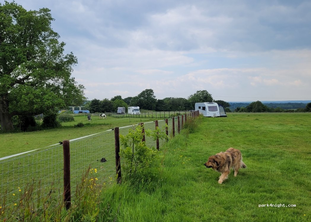 Leasam Farm — foto 4