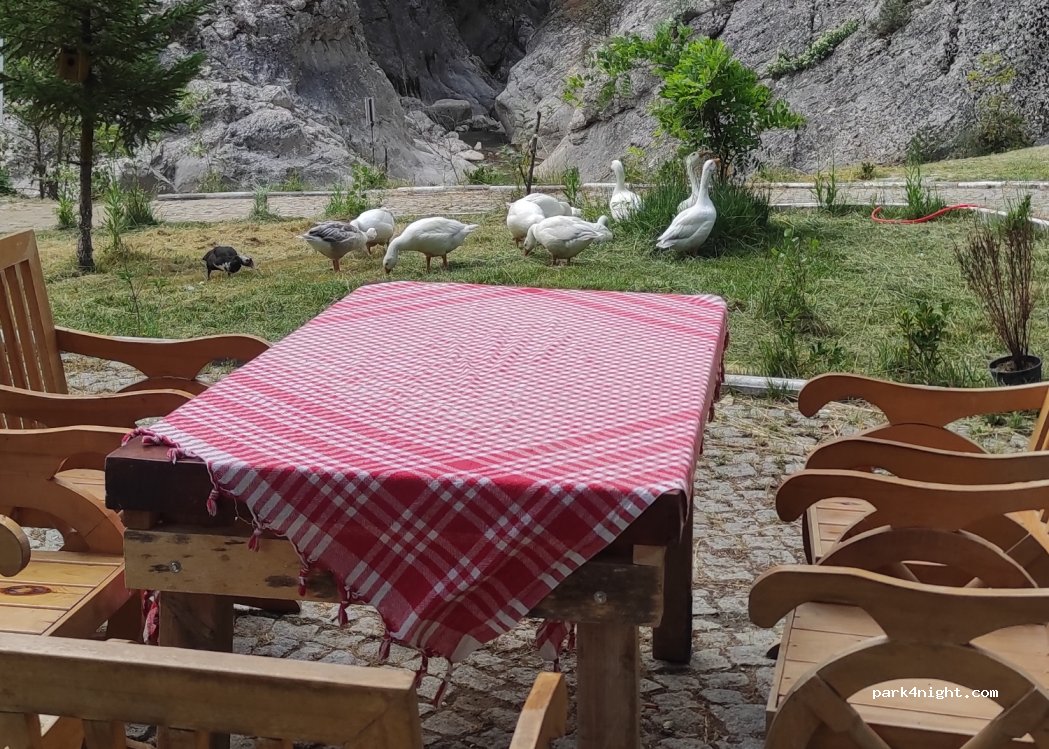 Harmankaya Tabiat Parkı — foto 4