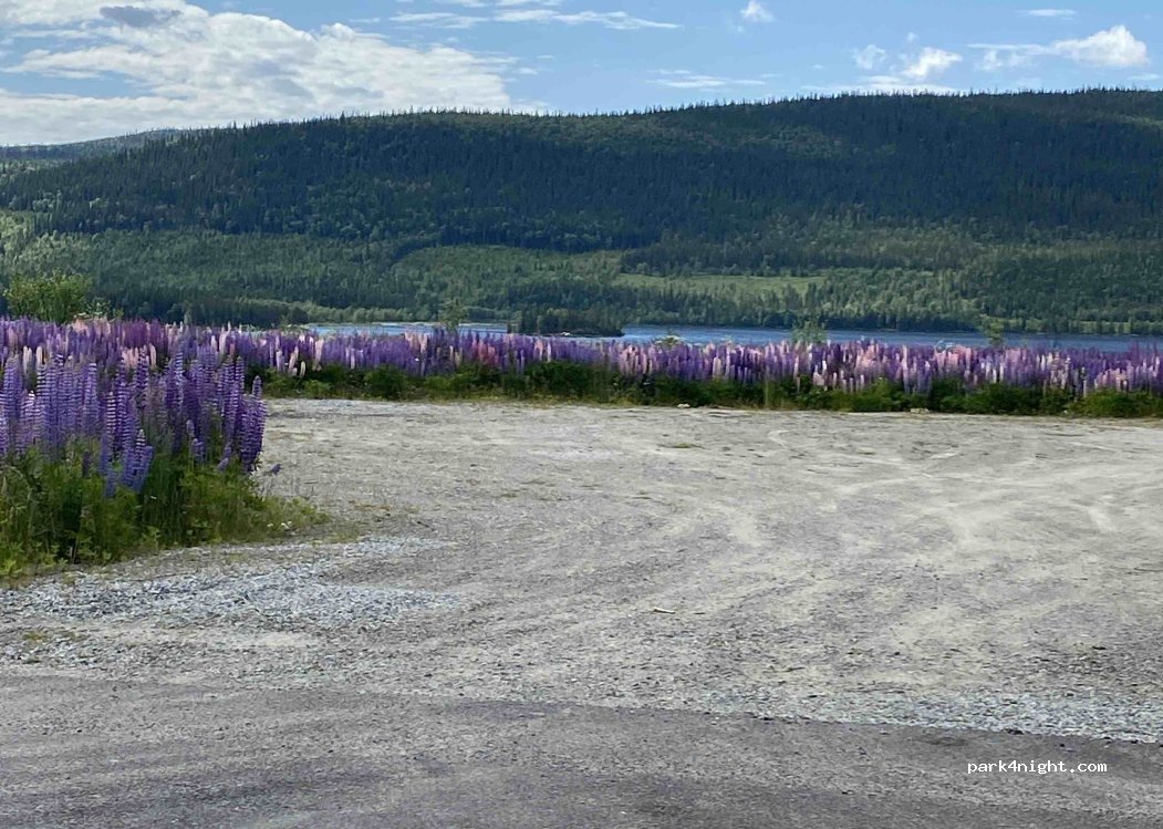 (833 98) Håkafot - 342 — foto 2