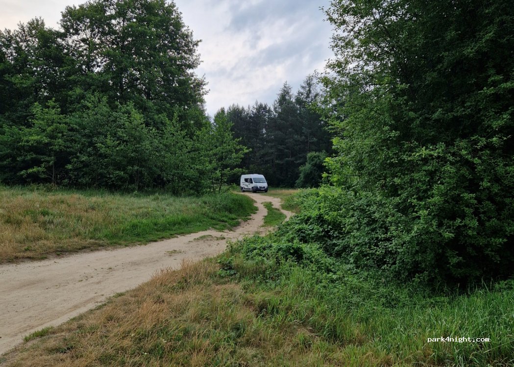 (05-281) Borzymy - 21 Słoneczna — foto