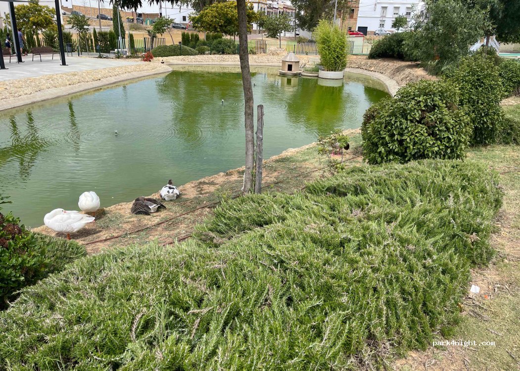 (41410) Carmona - 19 Calle Sierra de Cazorla — foto