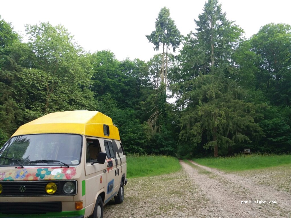 (76940) Vatteville-la-Rue - Route Forestière de la Haie-Aubrée — foto