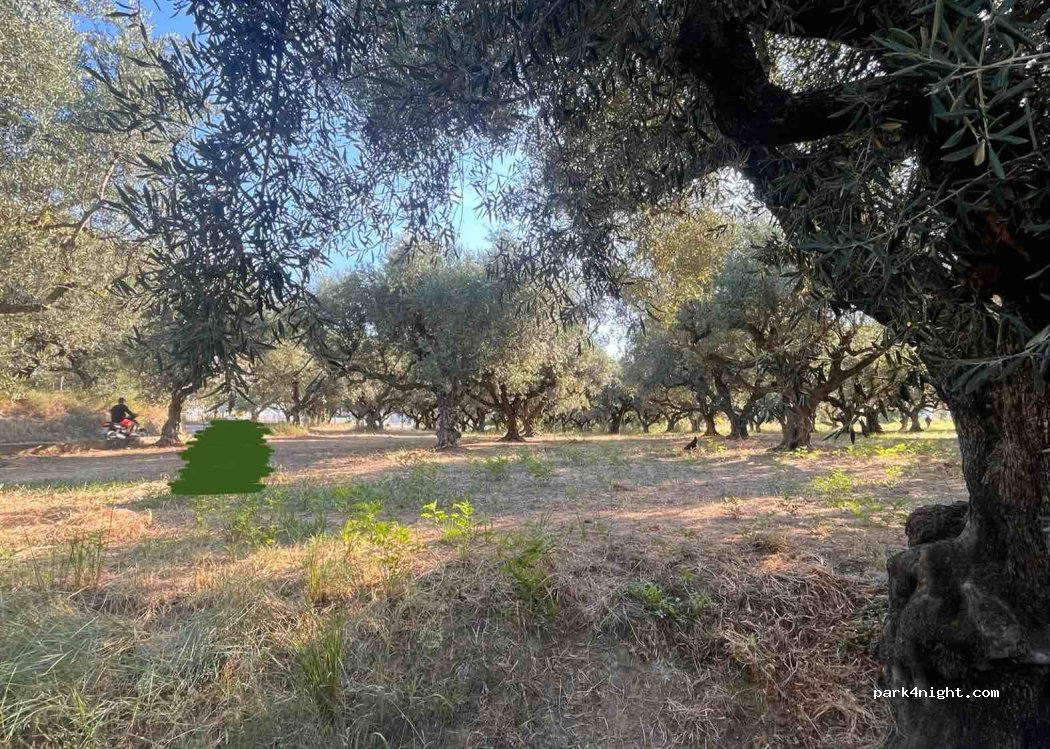 (290 92) Agios Sostis - Unnamed Road — foto
