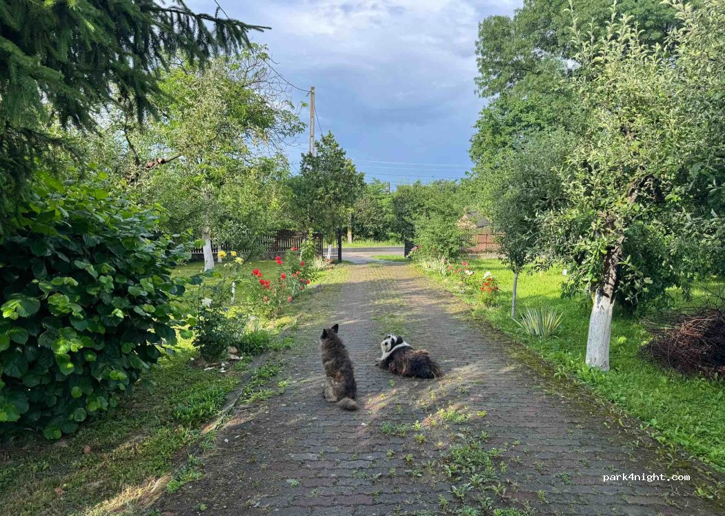 Rustic Camping Spot — foto 5