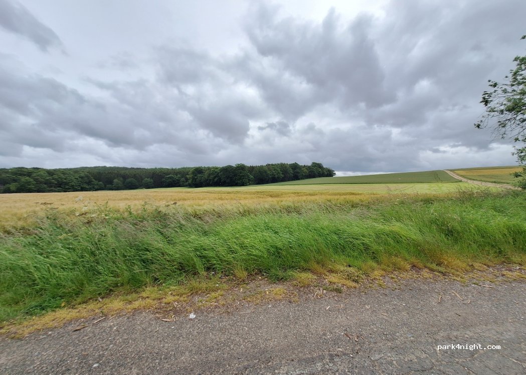 (54578) Oberehe-Stroheich - L68 — foto 3