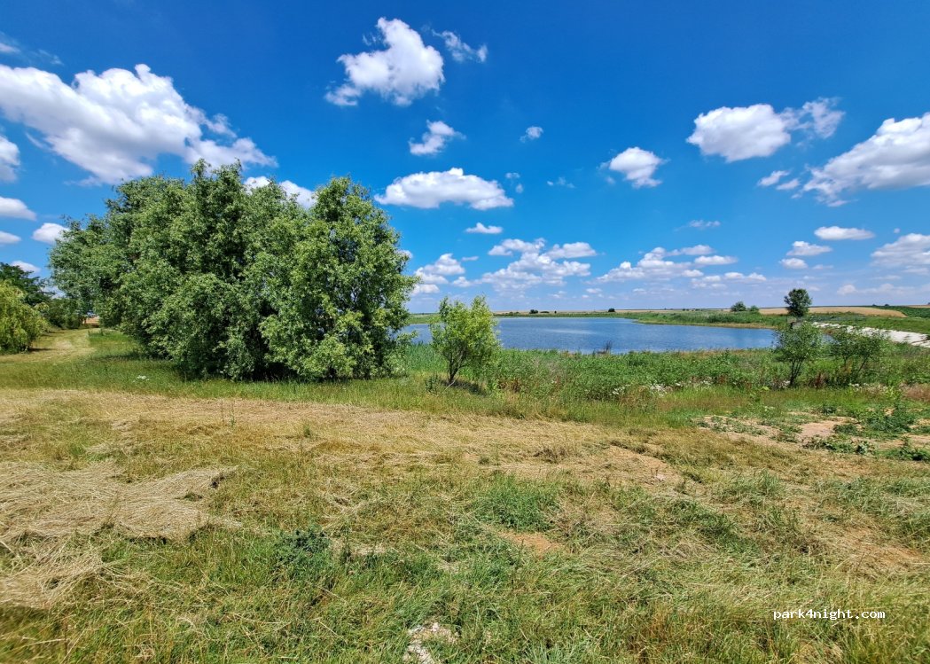 (417226) Vășad - — foto 2