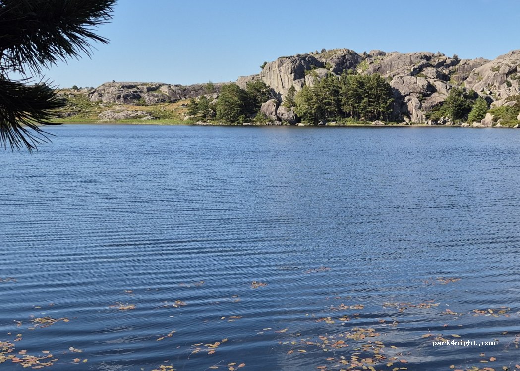 (4364) Sirevåg - — foto 2
