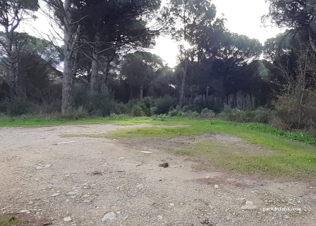 (17256) Els Masos de Pals - — foto