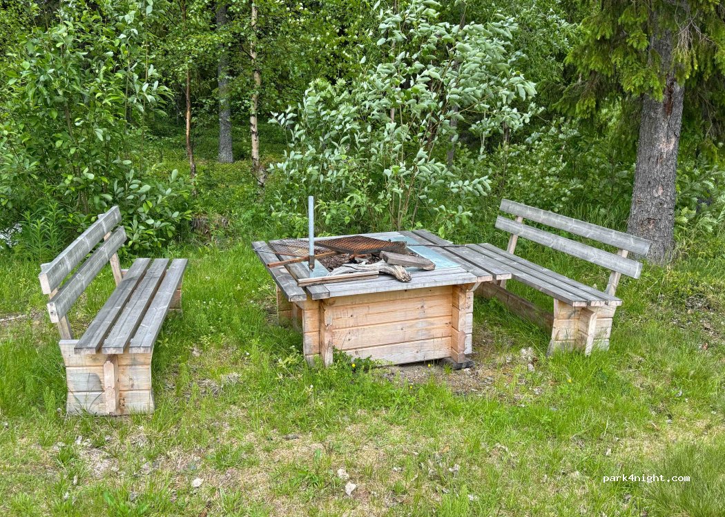 (939 91) Rentjärn - 370 — foto