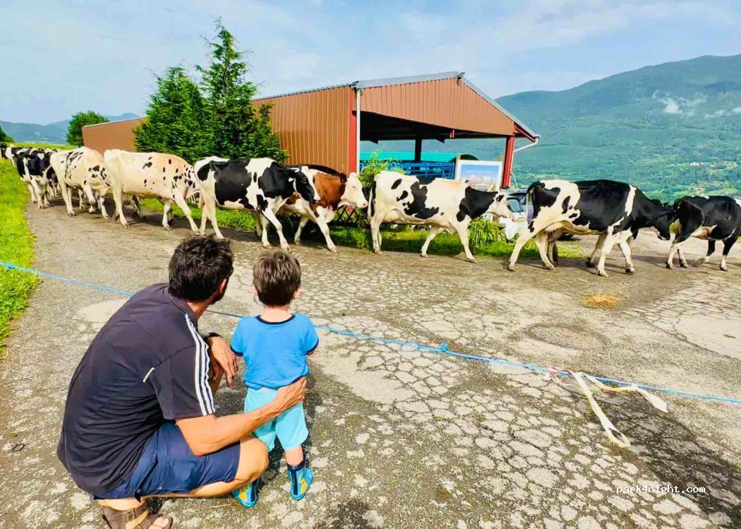 L'auberge Des Vaches — foto