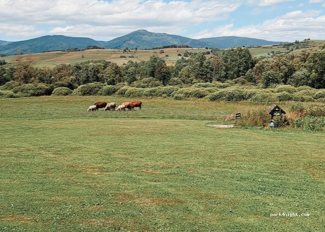 Kozí Dvor Rohozná — foto 2
