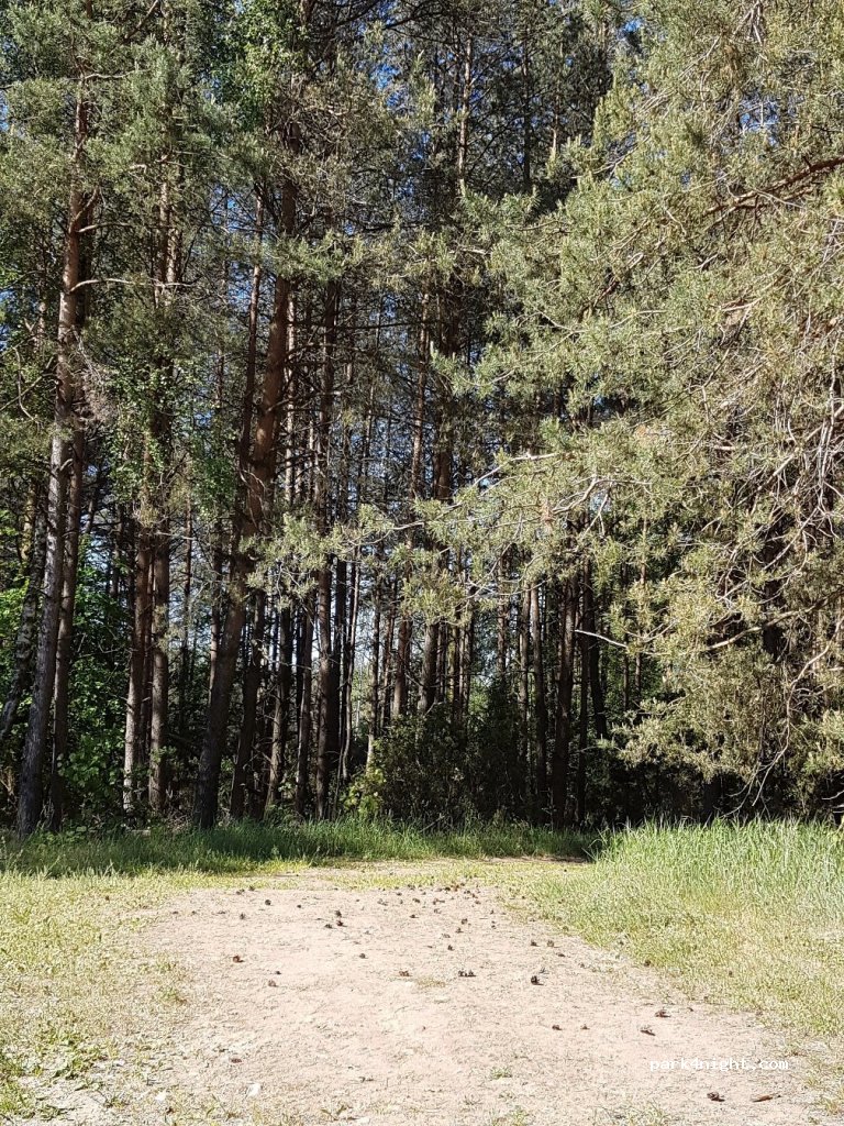(18-411) Olszewo - — foto 2