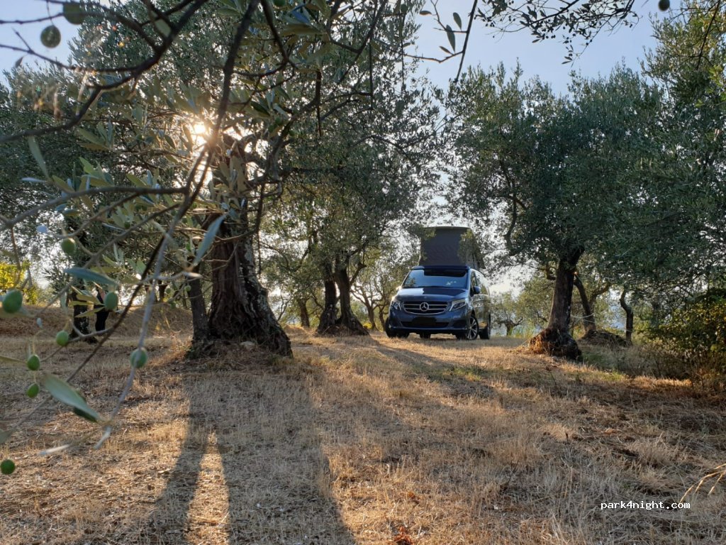 Azienda Agricola — foto