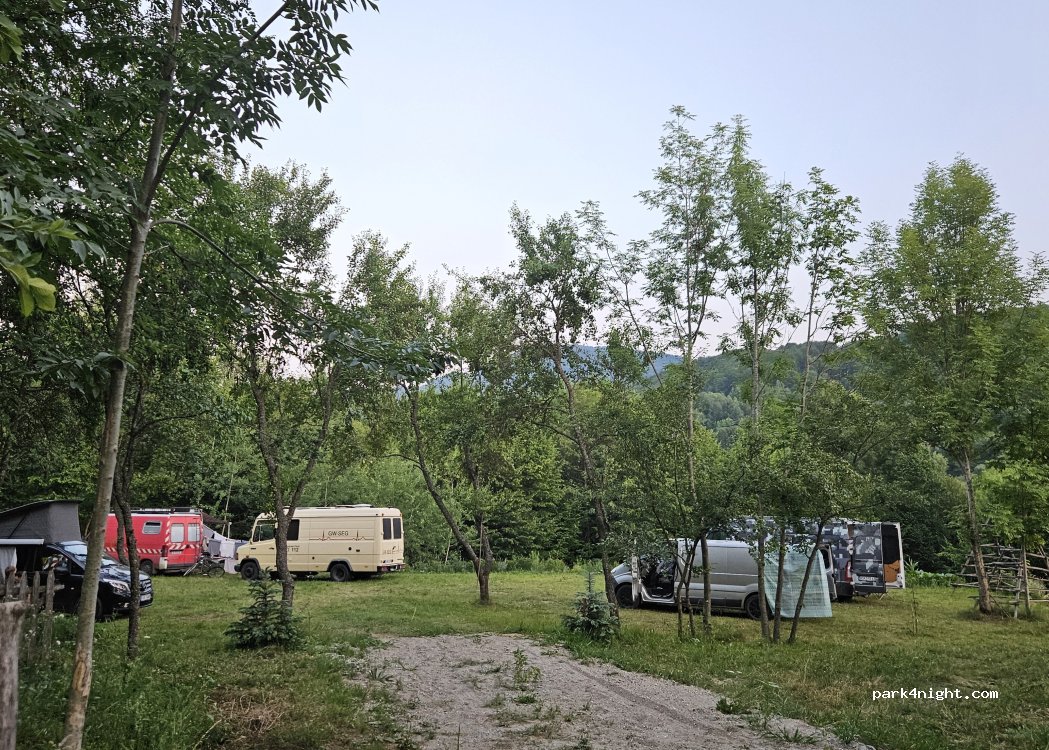(117283) Turburea - — foto 2