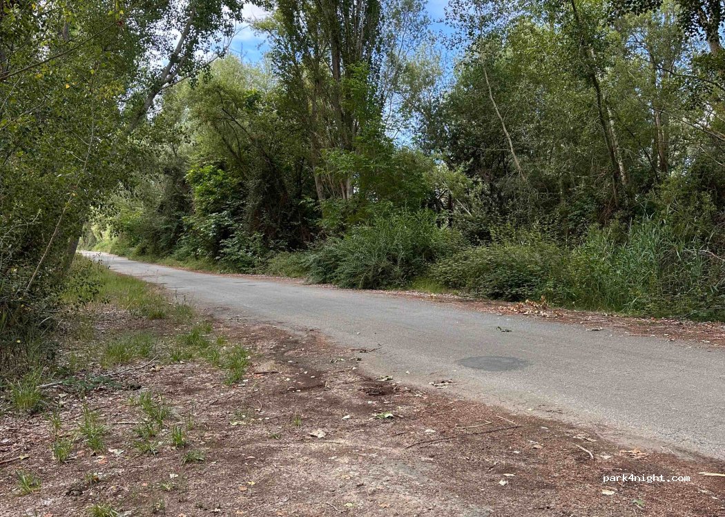 (25126) Almenar - — foto 2