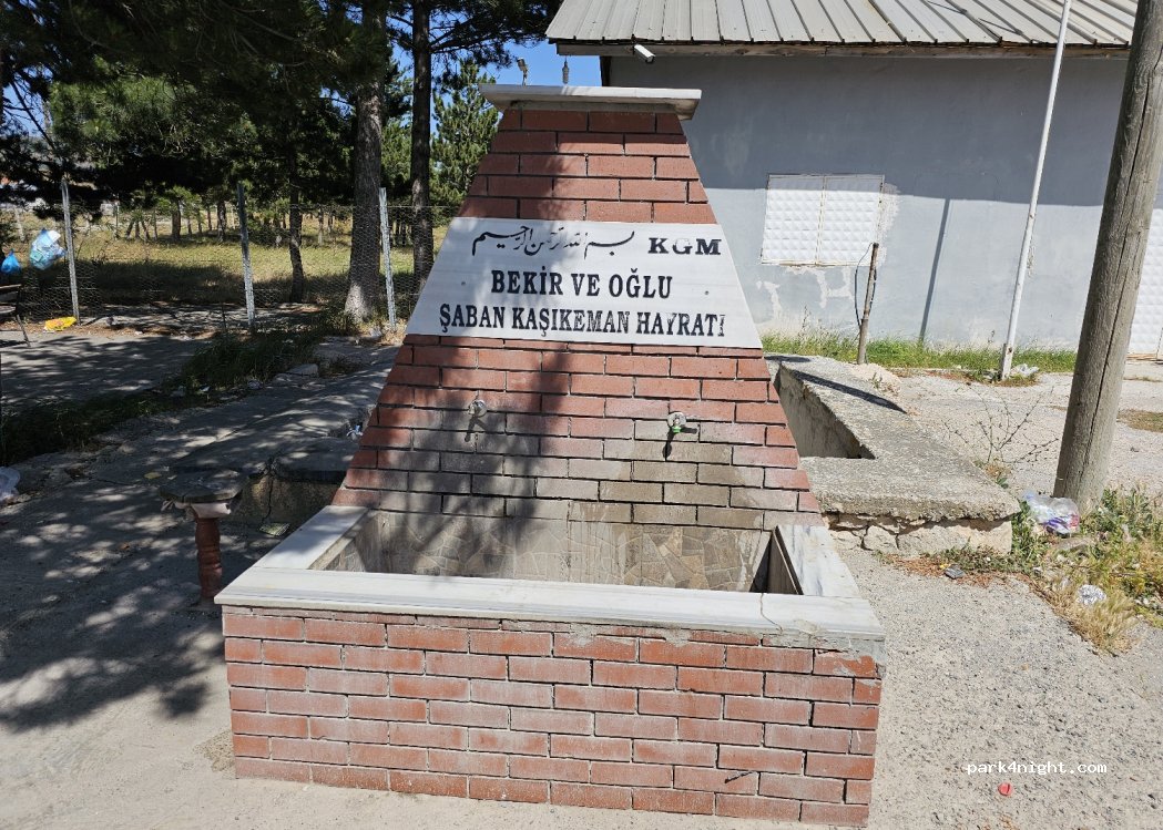 (60010) Yatmış - D850 — foto