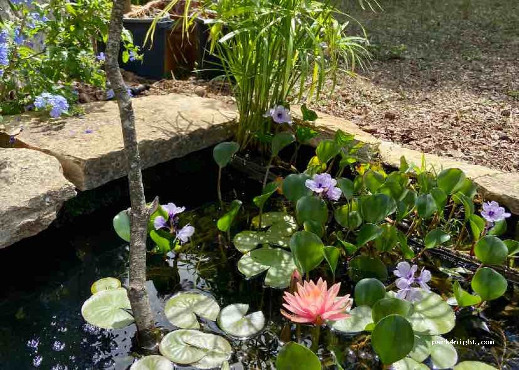 Immersion Nature en Provence — foto 3