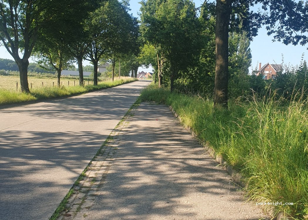 (9660) Brakel - 2 Cijnsland — foto