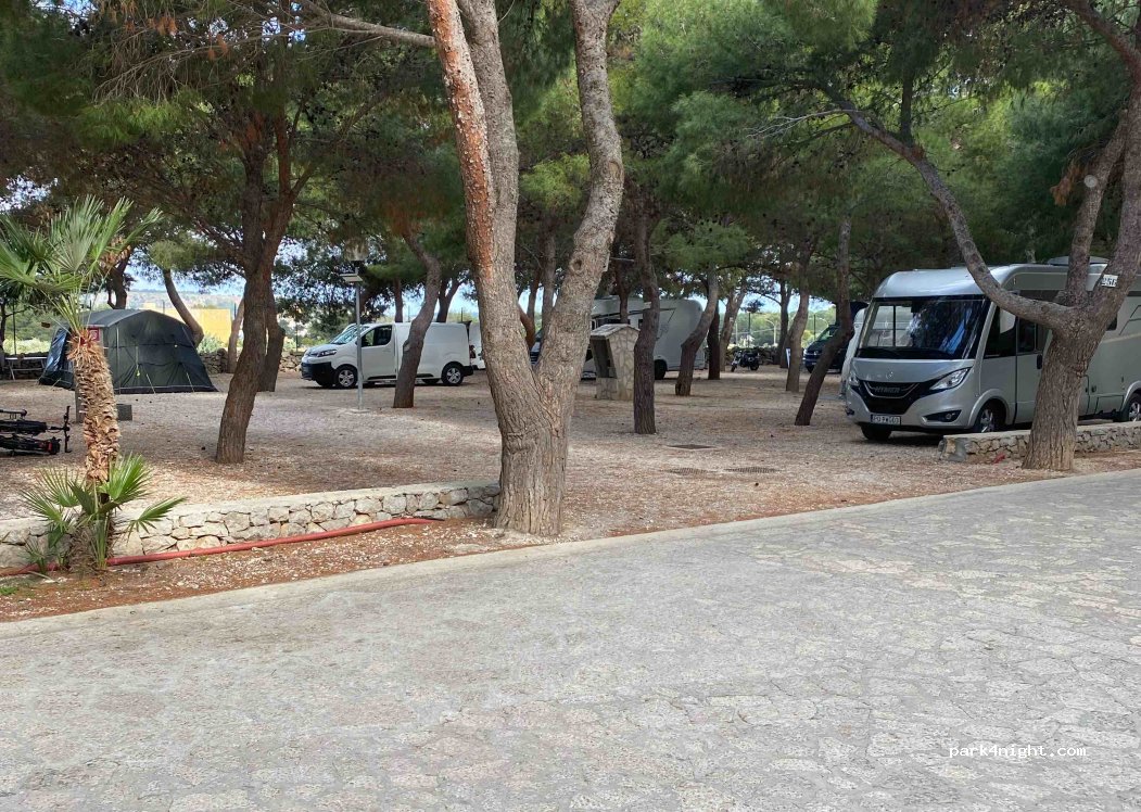 Camping Village la Pineta — foto 3
