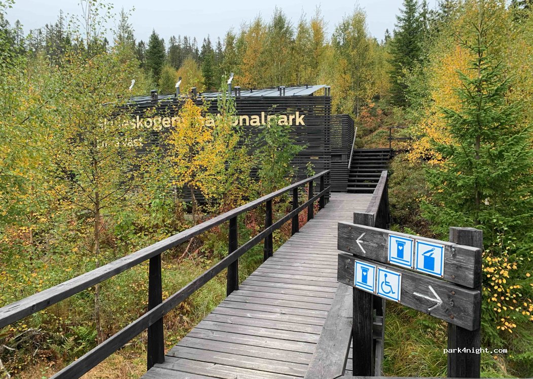 (893 91) Skuleskogen NP - Unnamed Road — foto