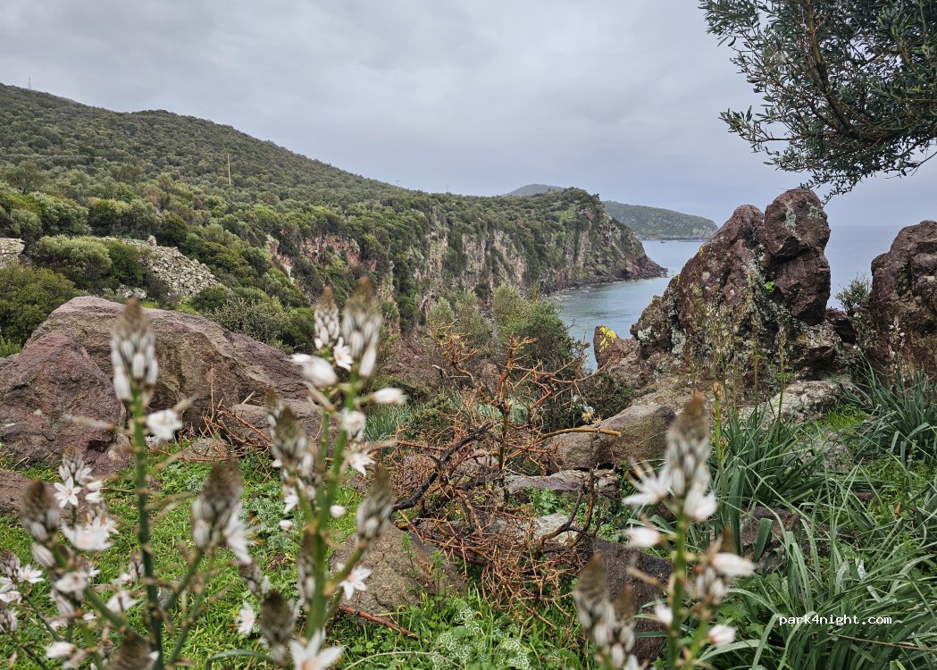 (35985) Bademli - — foto 2