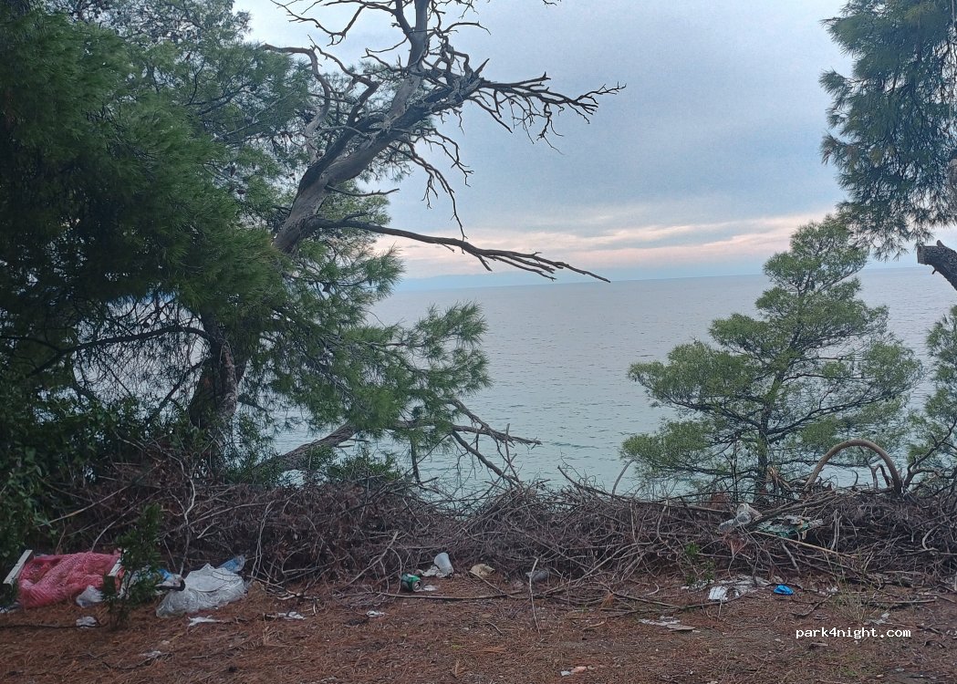 (630 81) Sithonia - — foto 2