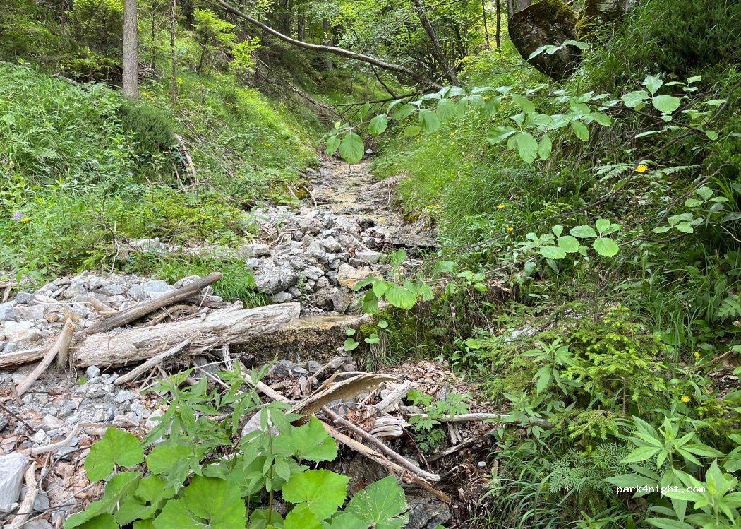 (3335) Solčava - Podolševa — foto 2