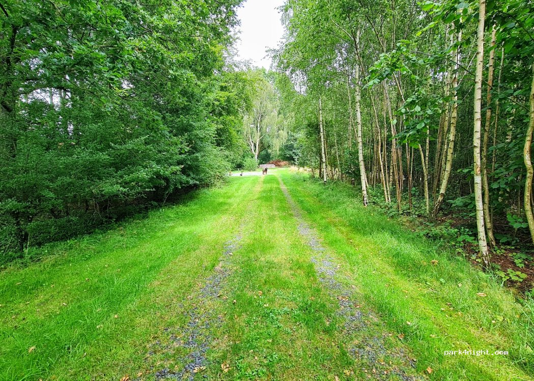 Hondemassen — foto 5