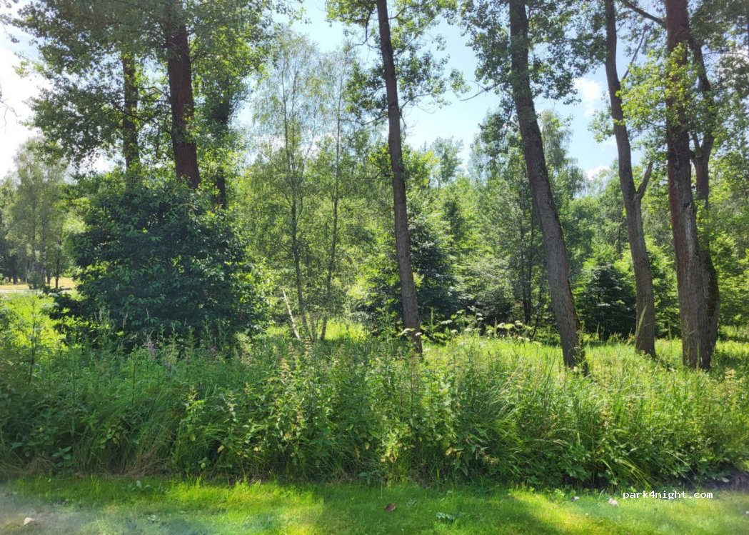 (463 53) Rynoltice - — foto 2