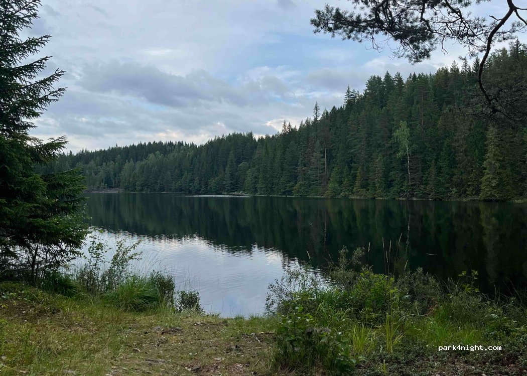 (770 13) Nyhammar - — foto 3