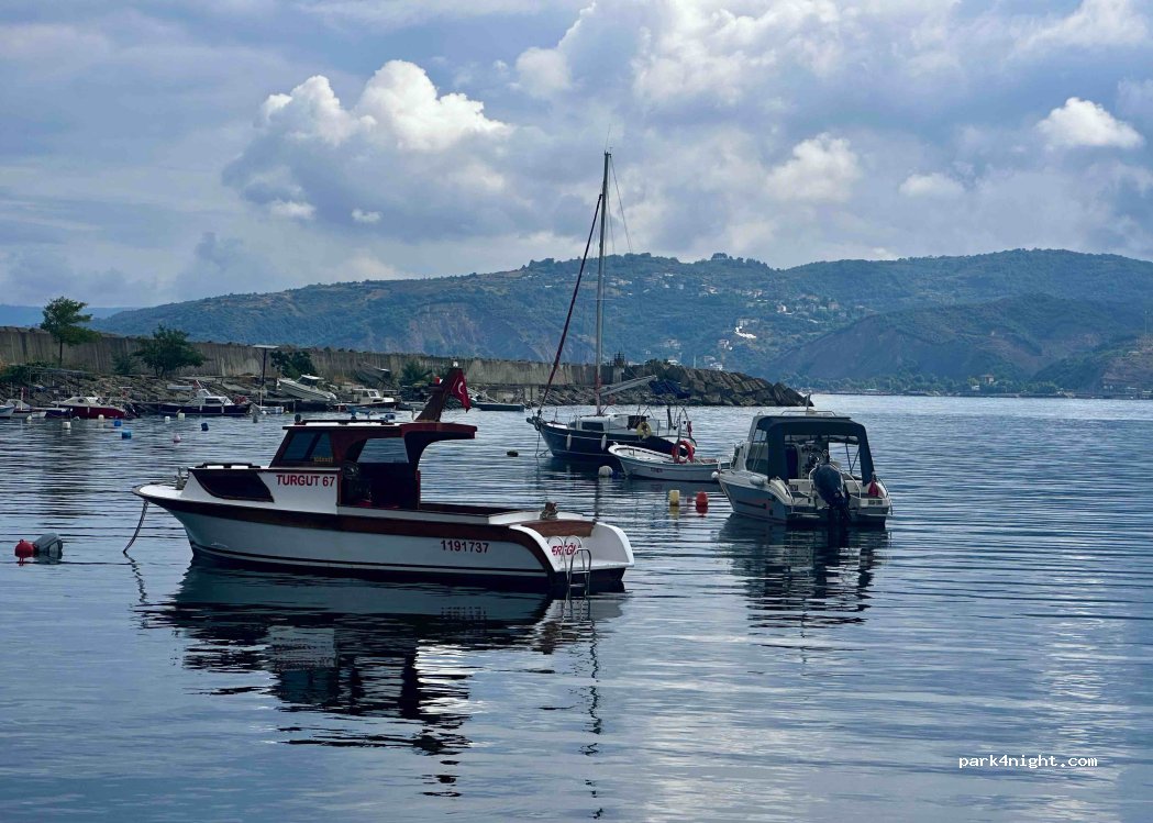 (67850) Alaplı - D010 — foto