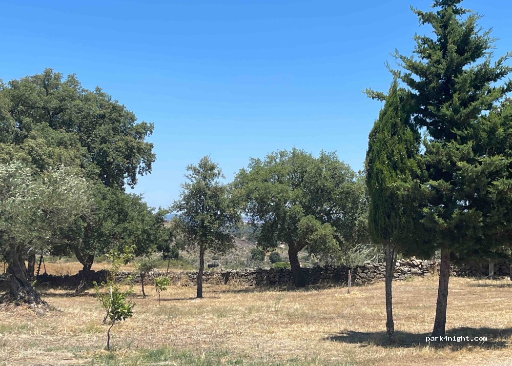 (10500) San Pedro - — foto 2