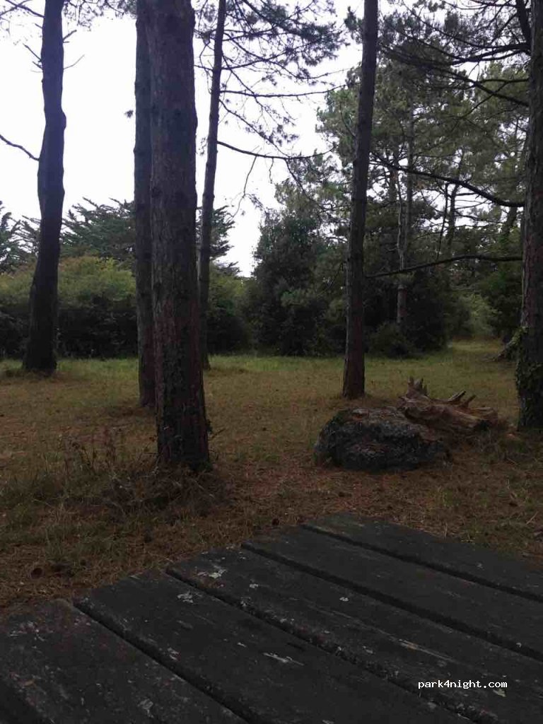 (44420) Piriac-sur-Mer - 1570 Avenue Louis Clément — foto