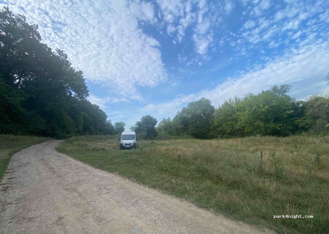(507176) Mateiaș - — foto 3