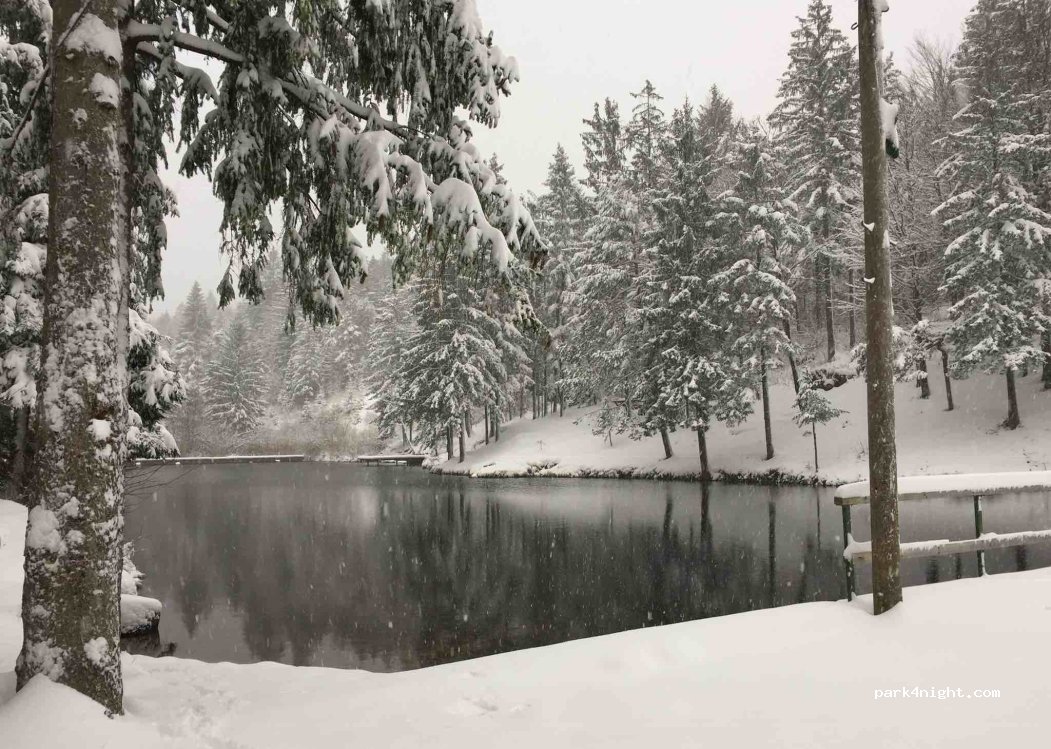 (5275) Godovič - Godovič — foto 4