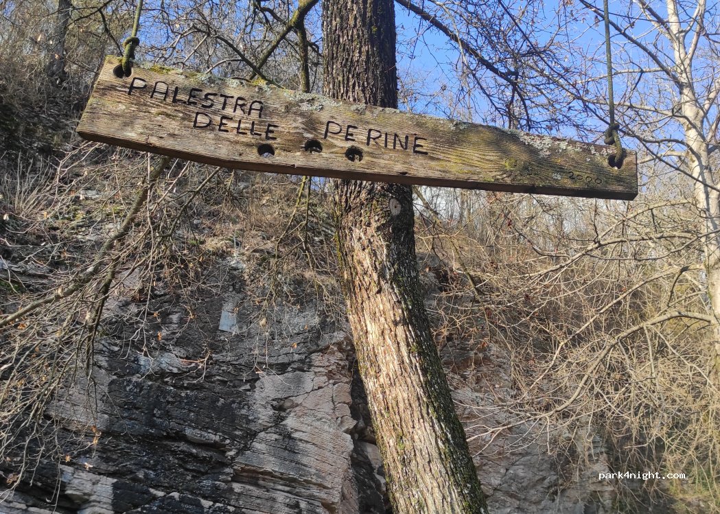 (32032) Feltre - 54 Via C. Cavour — foto 5