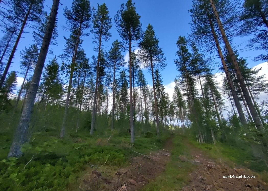 Kuusamo - 436 Lämsänkyläntie — foto 4