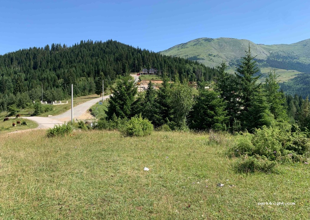 (30000) Peja - — foto 3
