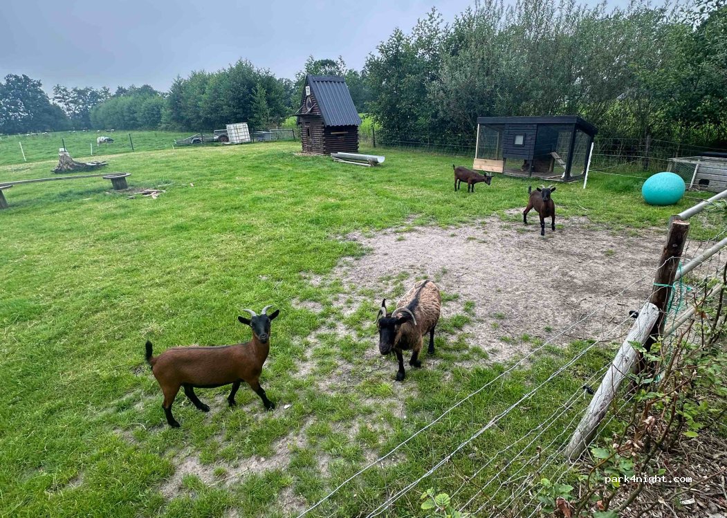 Camperplaats op de Meren — foto 2