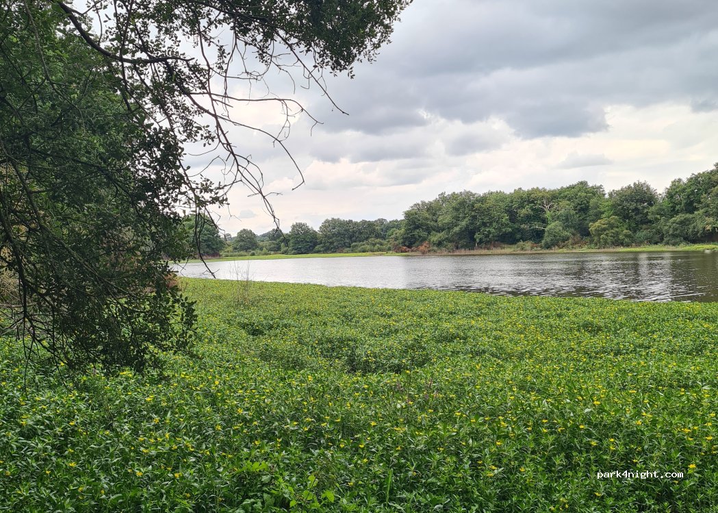 (44440) Joué-sur-Erdre - — foto 5
