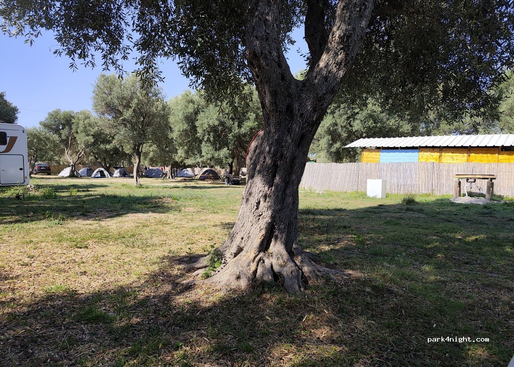 Borsh Olive Camping Caravan — foto 5