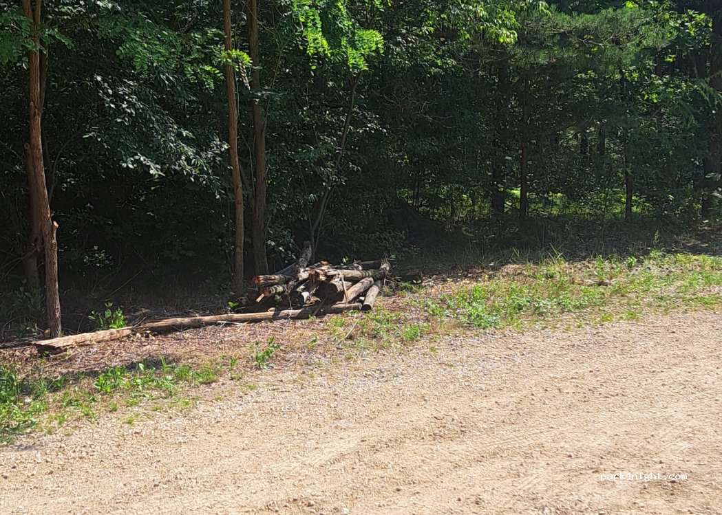 (42-610) Miasteczko Śląskie - — foto