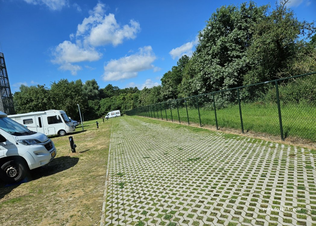de dwaze herder — foto 2