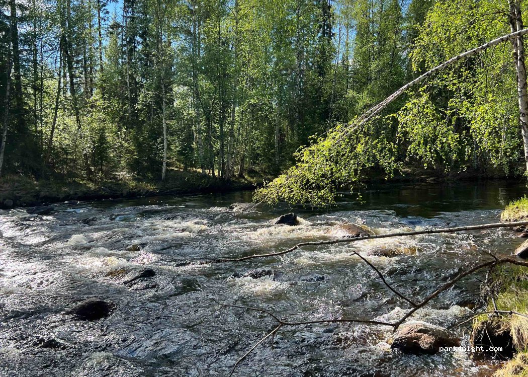 Vacation at the Alaskan Malamute Ranch — foto 2